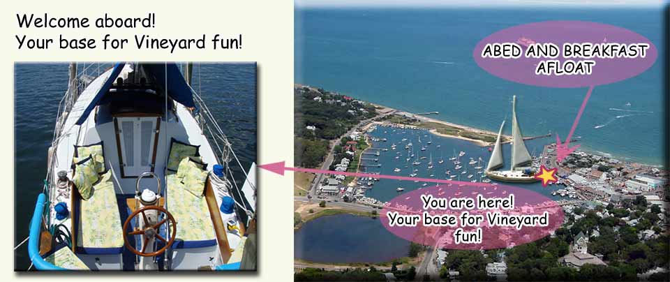 A bed and breakfast Afloat is the perfect place to set up your Vineyard base at Oak Bluffs Marina.